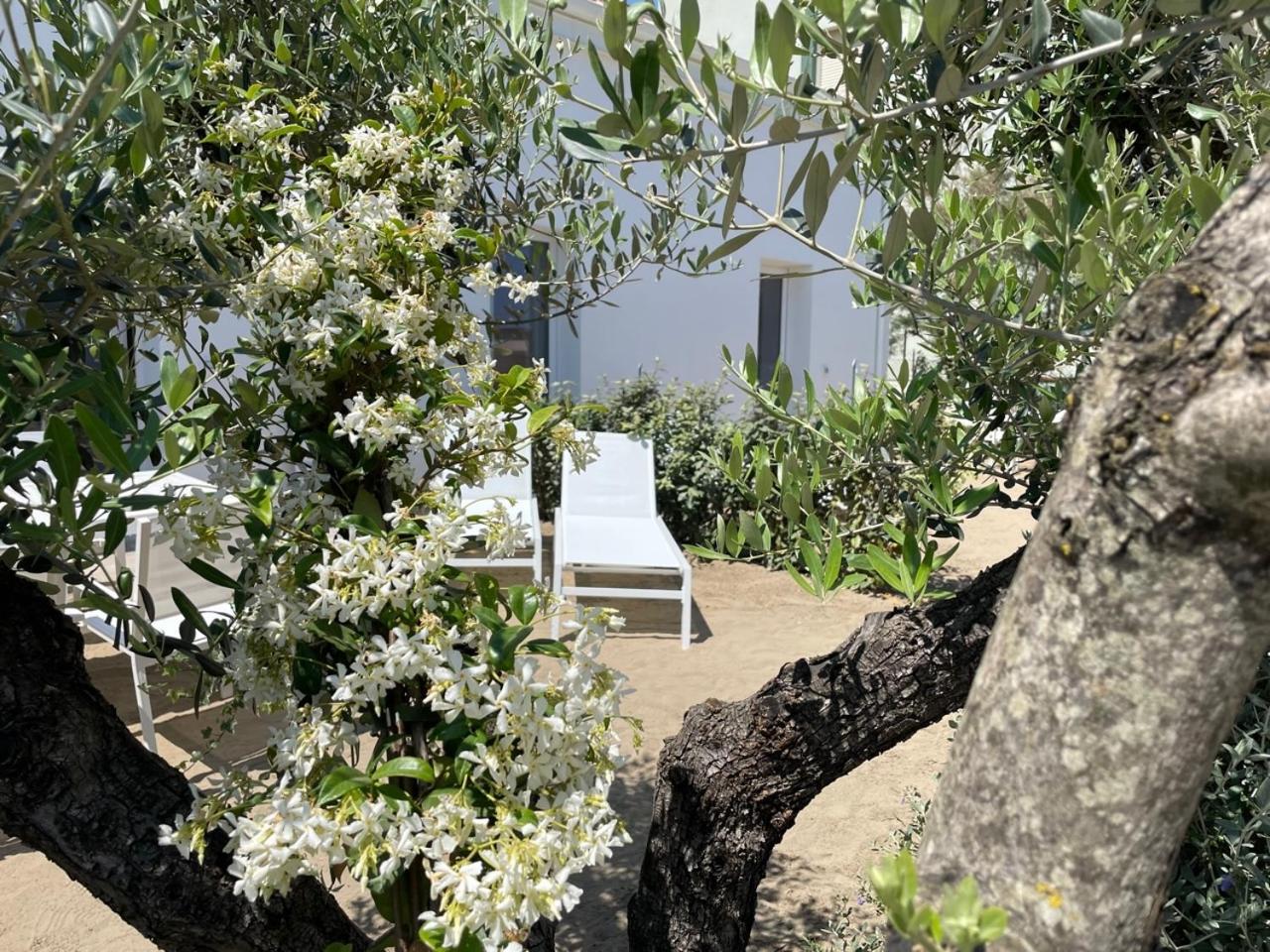 Villa Le Agavi Luxory Beach Surfhouse Bellaria-Igea Marina Ngoại thất bức ảnh